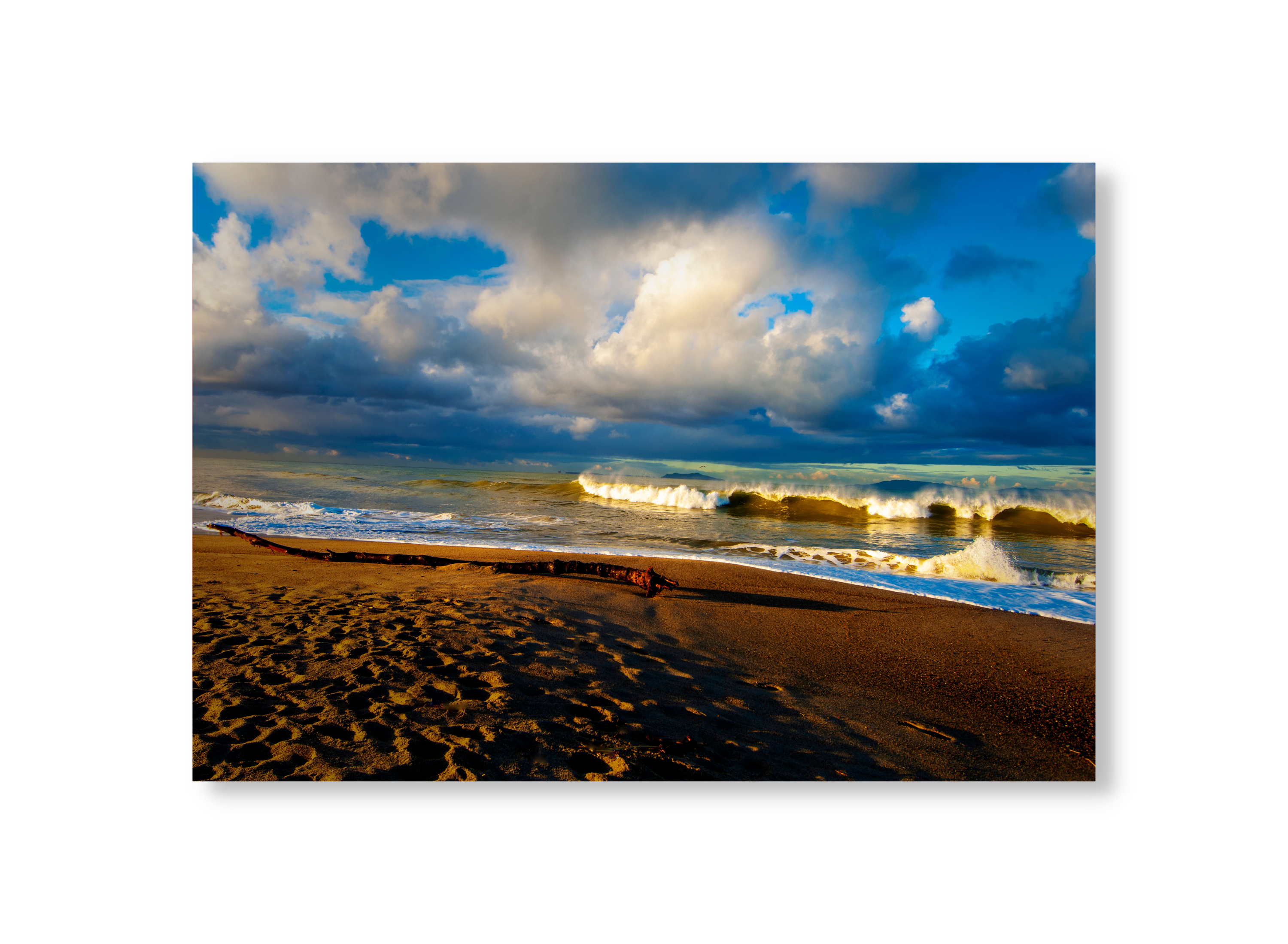 Beach Skies and Driftwood