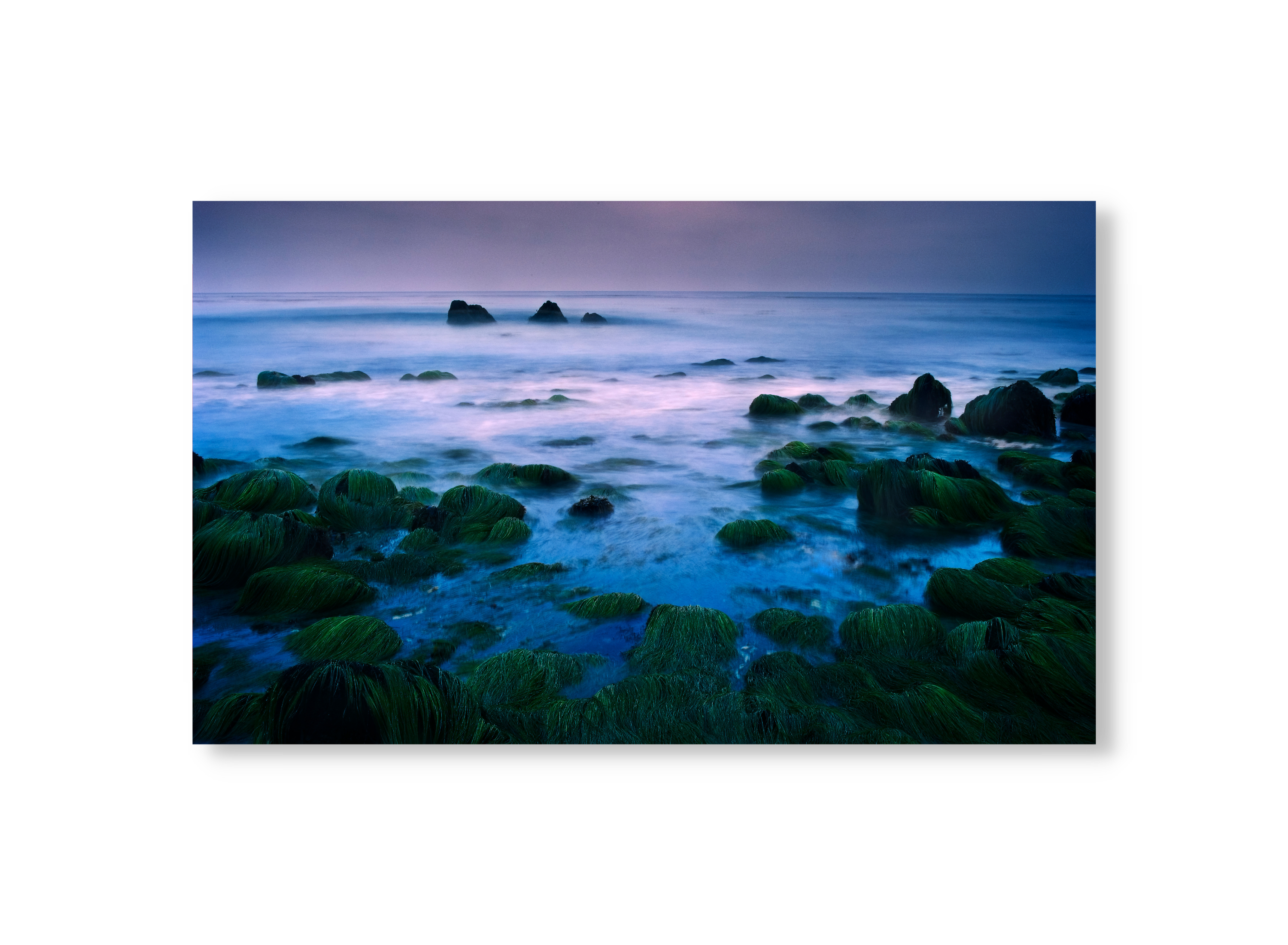 Malibu Tide Pools