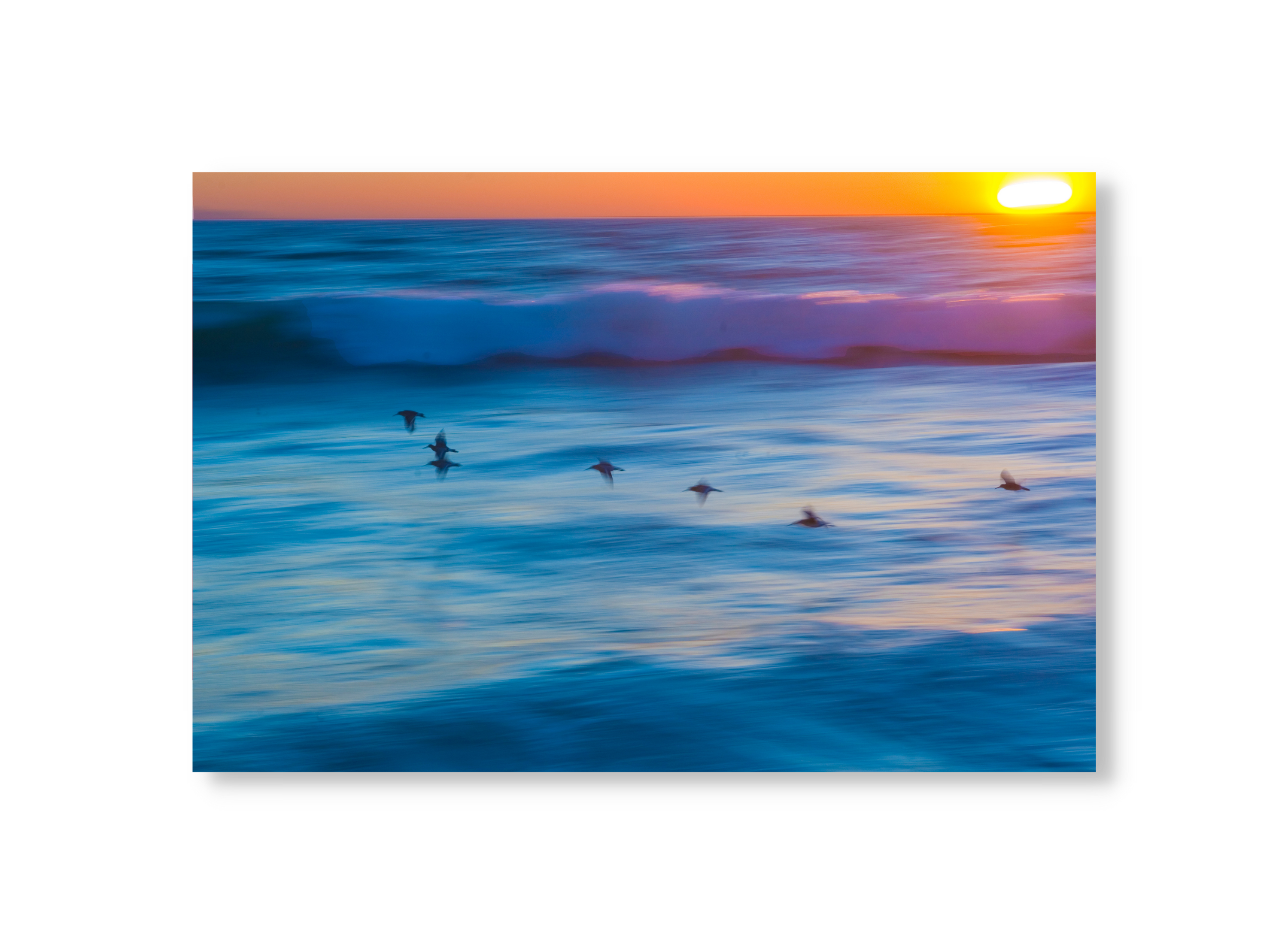 Sunset Ocean Birds